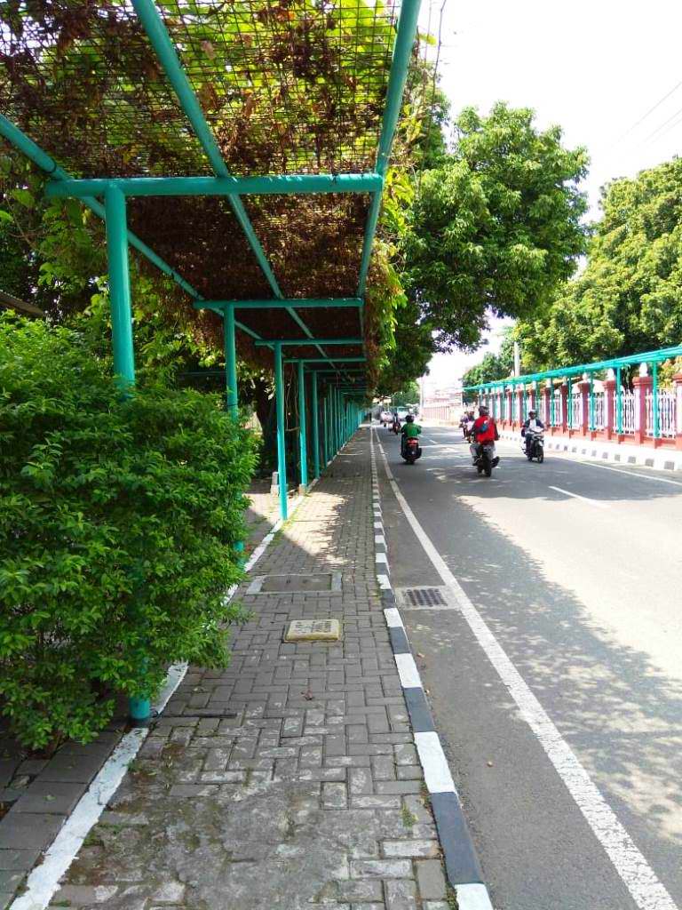 Pedestrian path policy on campus green uny